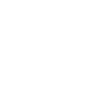 Comune di Verona Logo